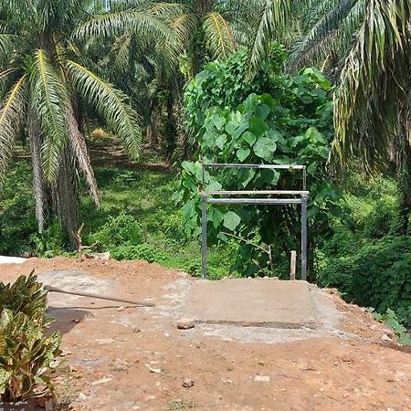 Myrol Homestay Kulim Buitenkant foto